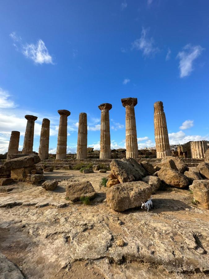 Akragaroom أغريجنتو المظهر الخارجي الصورة